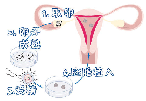 医疗团队
